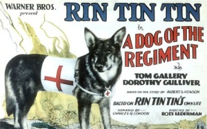 Rin Tin TIn